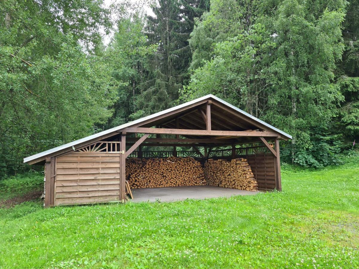 Ferienwohnung Alte Schule Bad Brambach Exterior foto