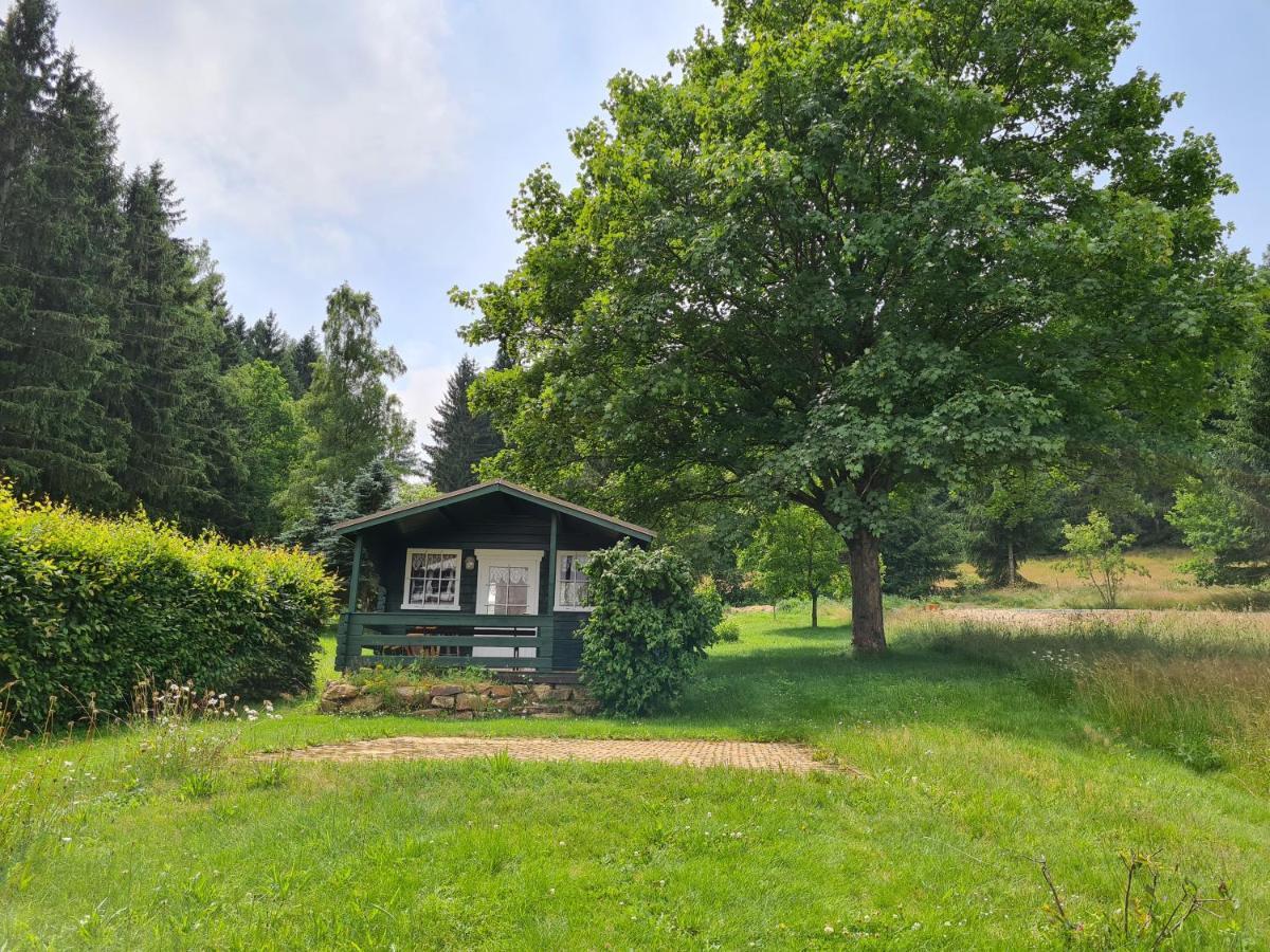 Ferienwohnung Alte Schule Bad Brambach Exterior foto